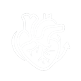 White outline drawing of a human heart.