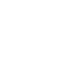 Pixelated icon of a human torso with a spine, showing radiating lines around one vertebra.